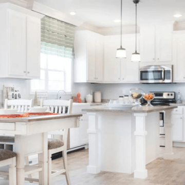 Declare Your Independence with the New Freedom Collection!