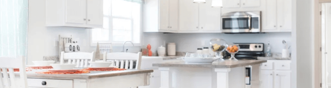 Declare Your Independence with the New Freedom Collection!